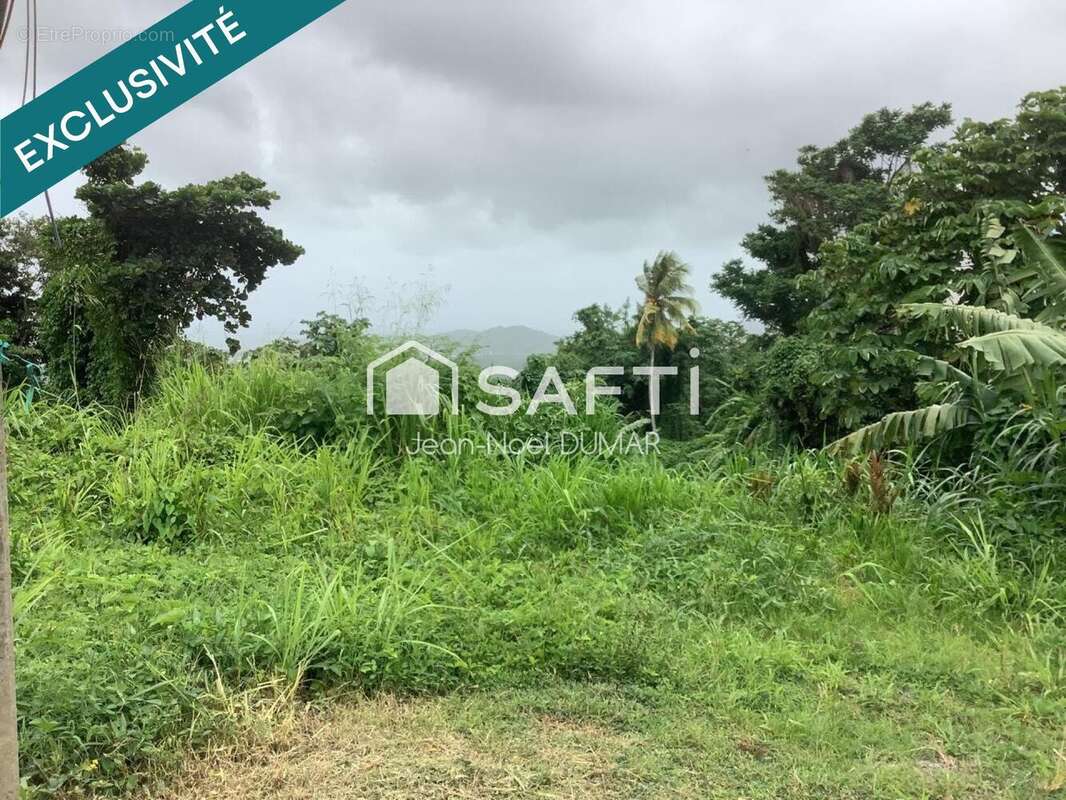 Photo 2 - Terrain à LE FRANCOIS