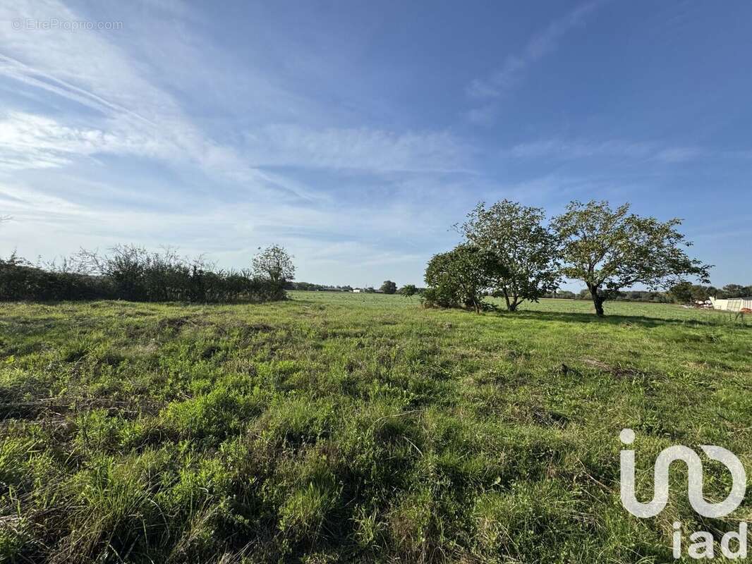 Photo 2 - Terrain à CHOUZE-SUR-LOIRE
