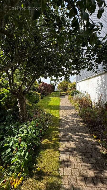 Maison à GRAND-CHAMP