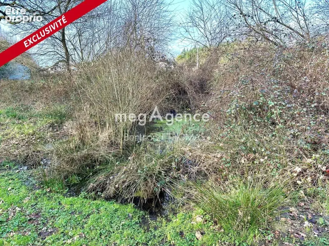 longère ancienne à rénover sur deux hectares 7740 m2 - photo 7