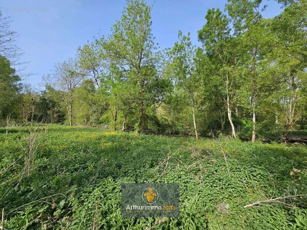 Terrain à SAINT-HILAIRE-LA-PALUD