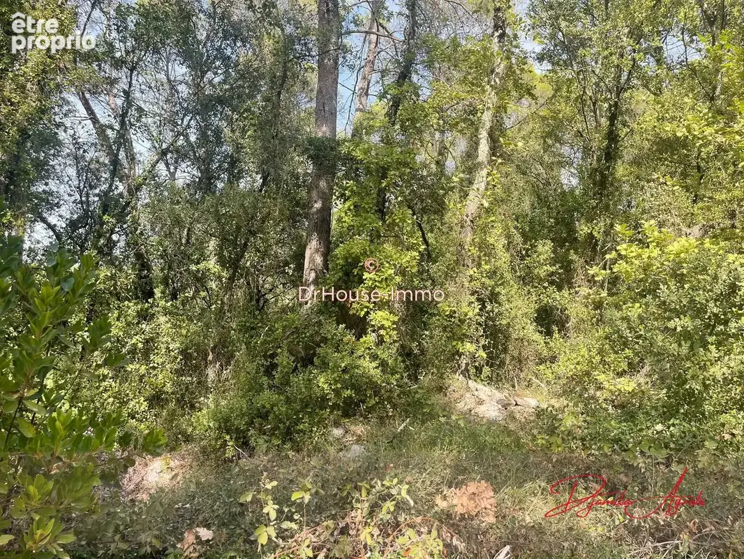 Terrain 4 300 m² à vendre à Cabasse (83340) - photo 2