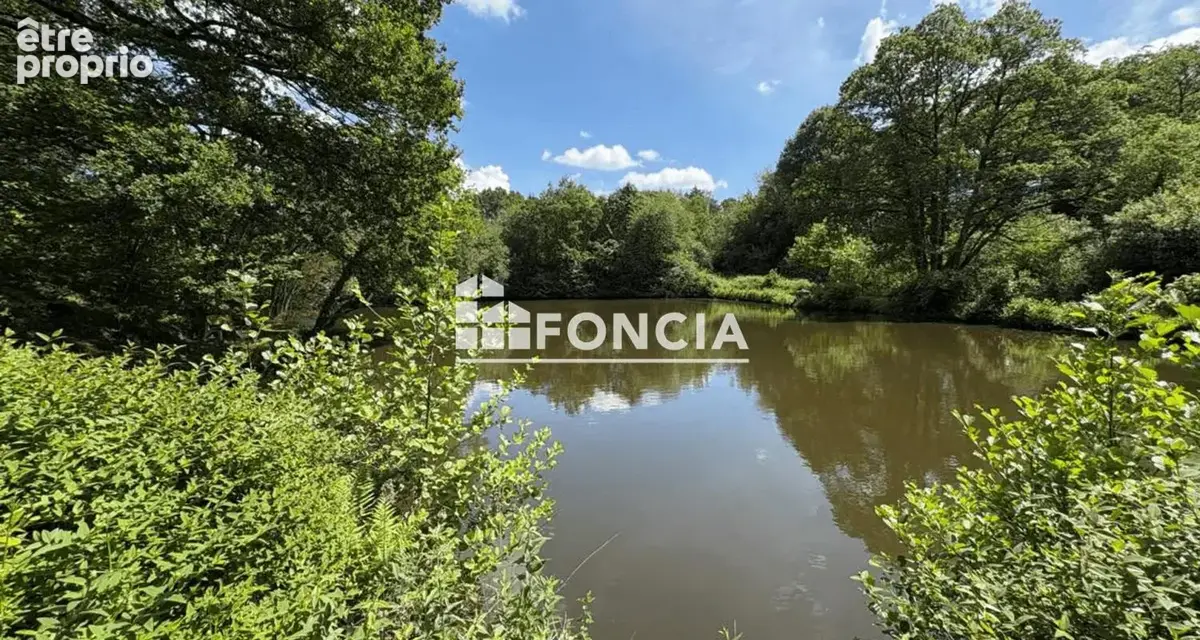 Avis aux amoureux de nature et de grands espaces : étang de pêche de 1ère catégorie - photo 3