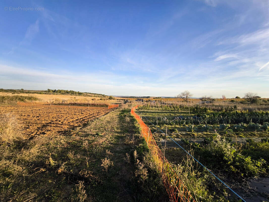Maison à CAZOULS-LES-BEZIERS
