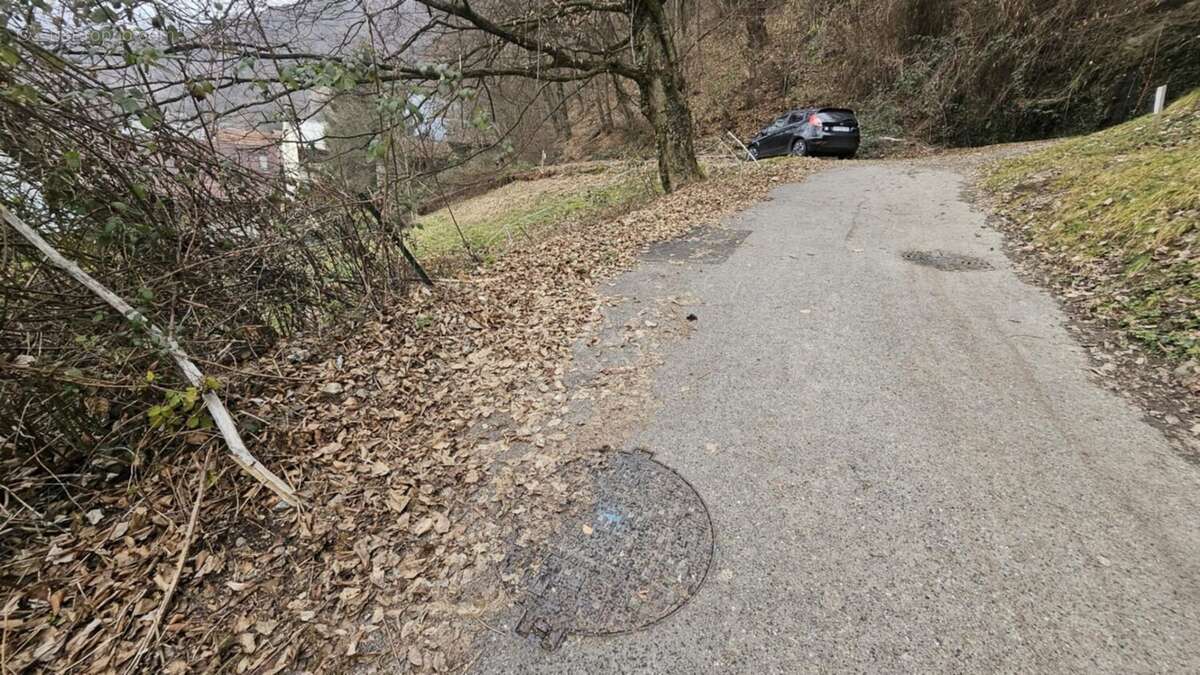 Terrain à LA BATHIE