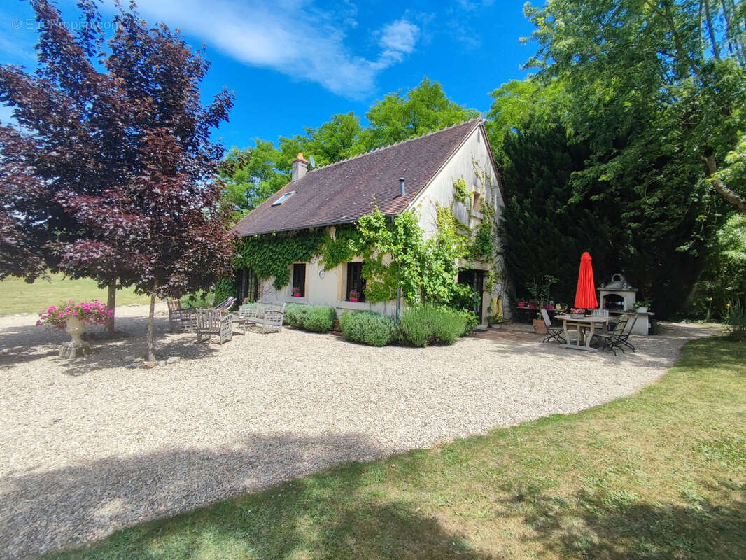 Propriété d'exception au Châtelet : 3,5 ha de nature avec piscine ! - photo 5