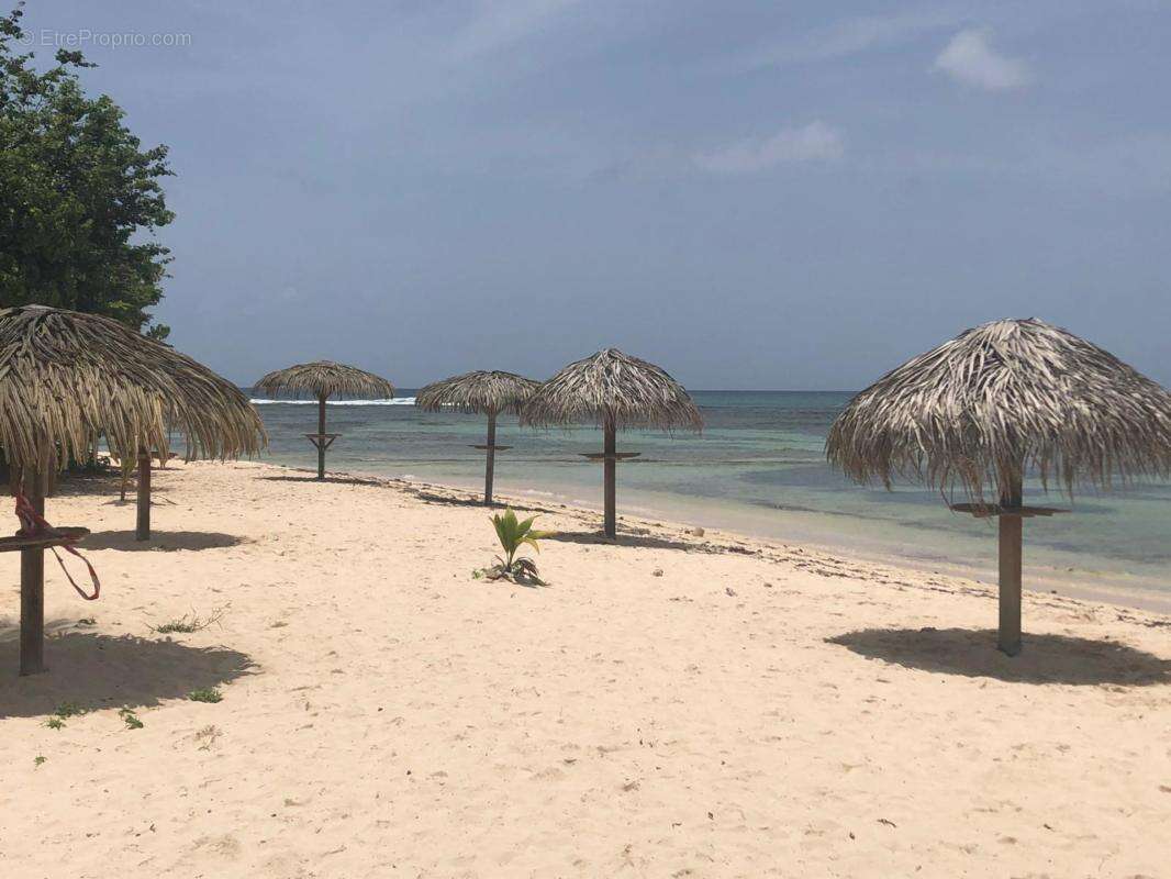 Un appartement à Anse des Rochers SAINT FRANCOIS (971) - photo 12
