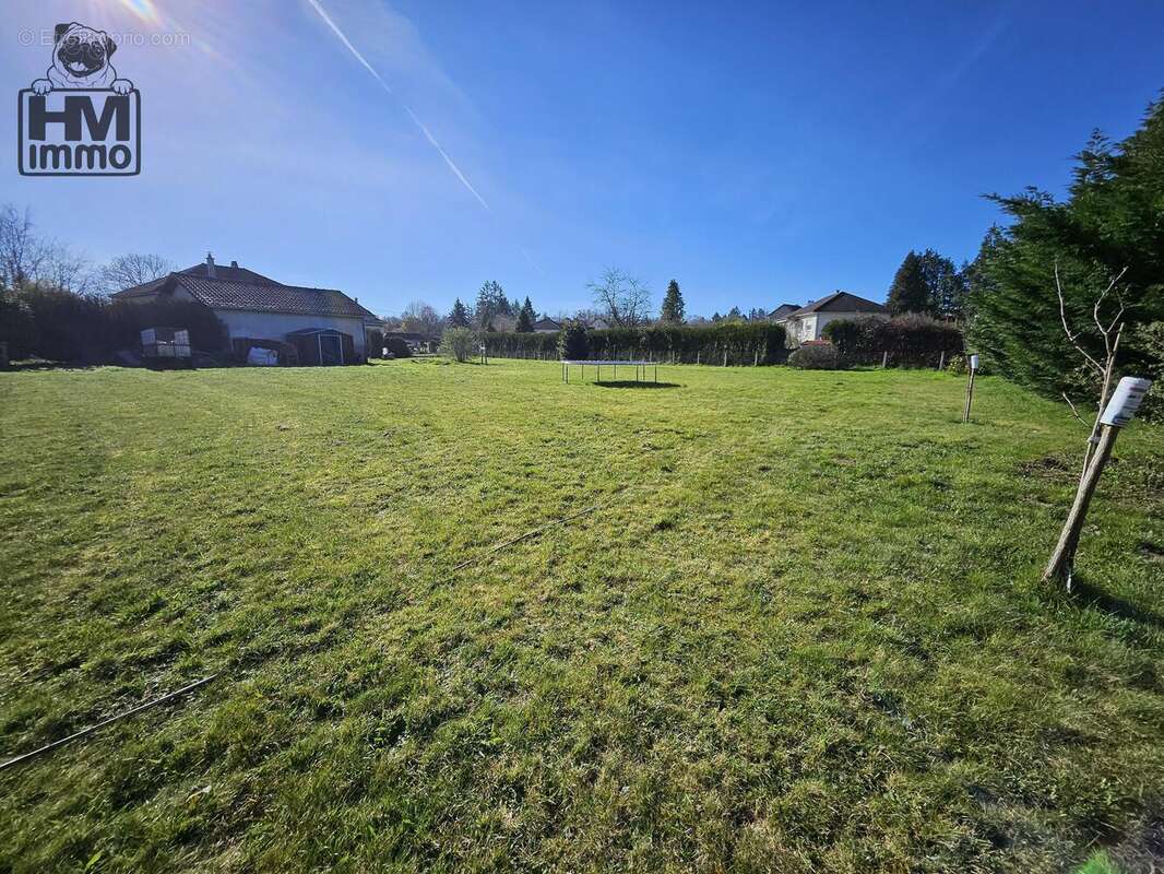 n°1 - Terrain à NEXON