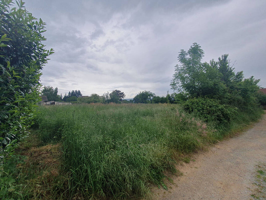 Terrain à VILLEBRET