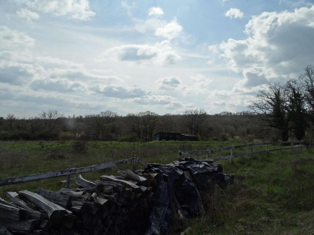 Champs devant le garage - Maison à LABASTIDE-MURAT