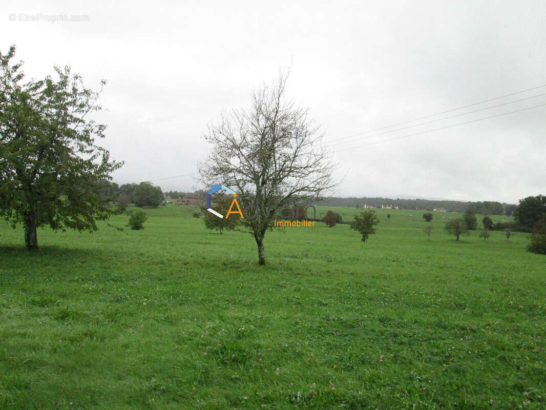 Terrain à LA BRUYERE