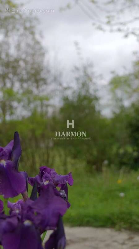 Maison à ARTIGUELOUVE