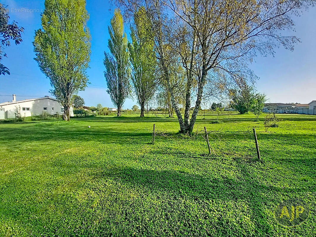 Terrain à GAILLAN-EN-MEDOC