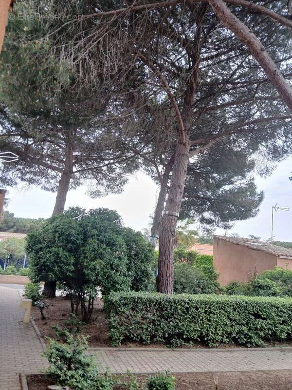 Maison de plain-pied style bohème au CAP d'Agde - photo 29