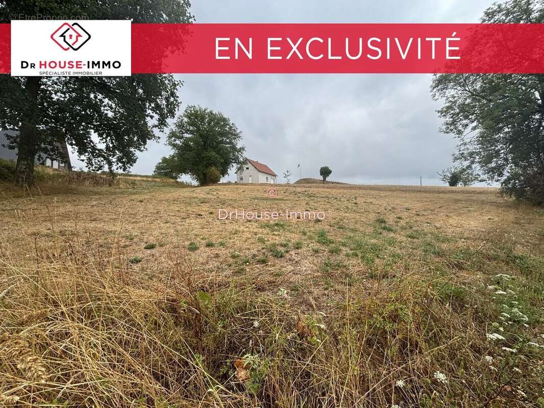 Terrain 1454 m² à Saint-Paul-La-Roche  - photo 5
