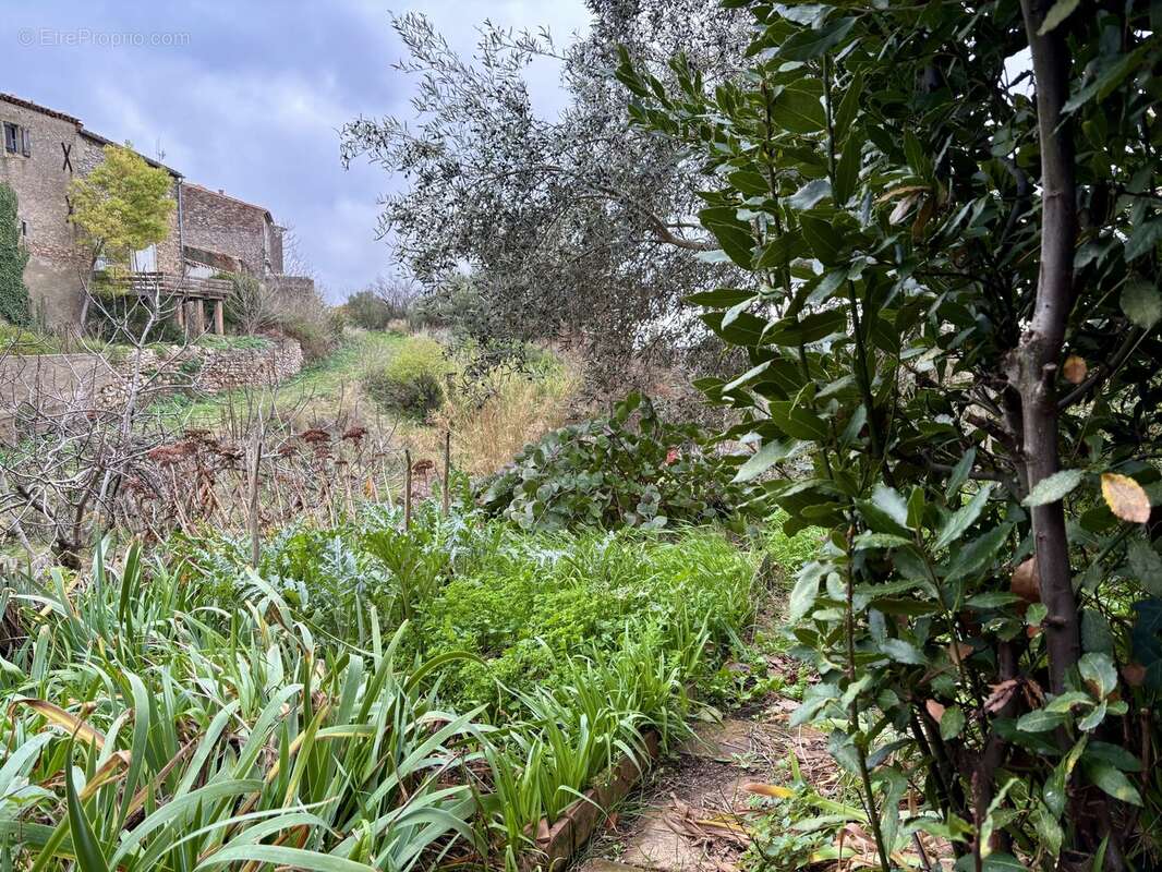 Maison à CAUNES-MINERVOIS