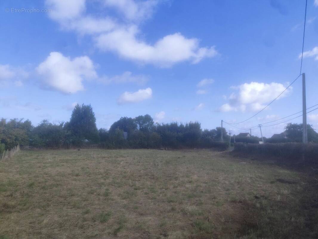 Photo 1 - Terrain à ILLEVILLE-SUR-MONTFORT