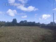 Photo 1 - Terrain à ILLEVILLE-SUR-MONTFORT