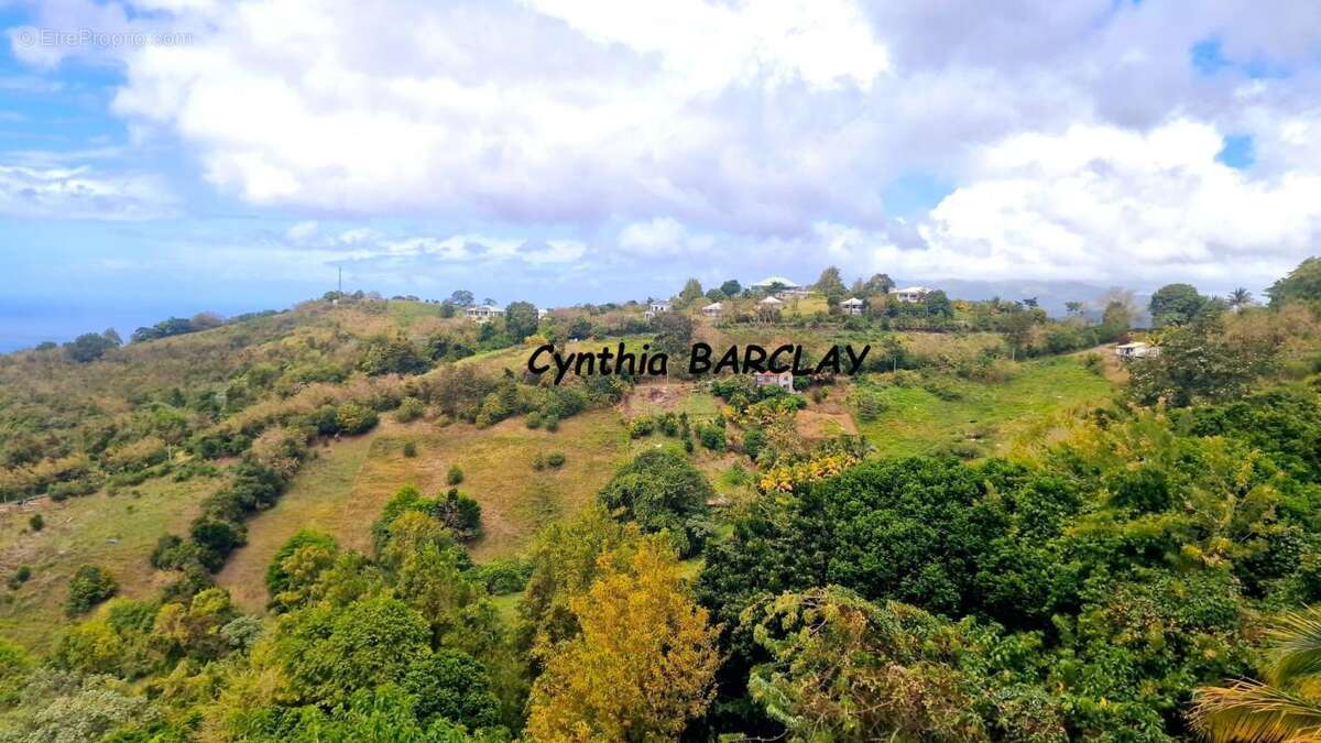 Maison à BELLEFONTAINE