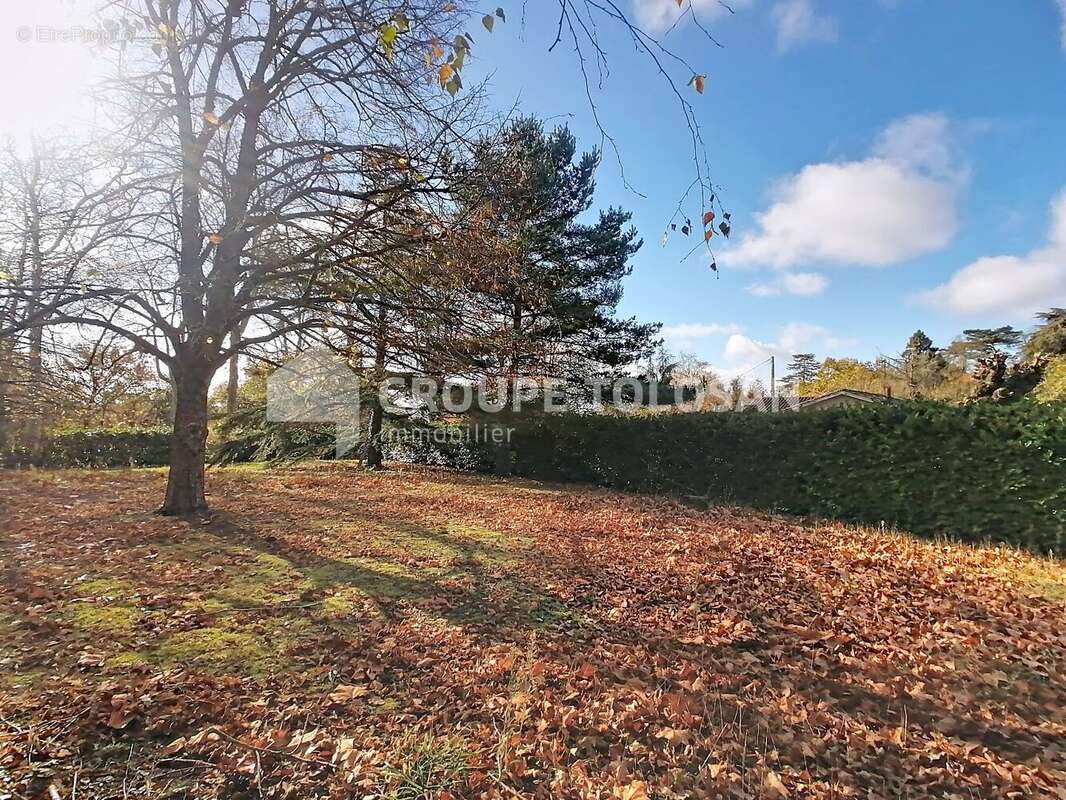 Maison à ROUFFIAC-TOLOSAN