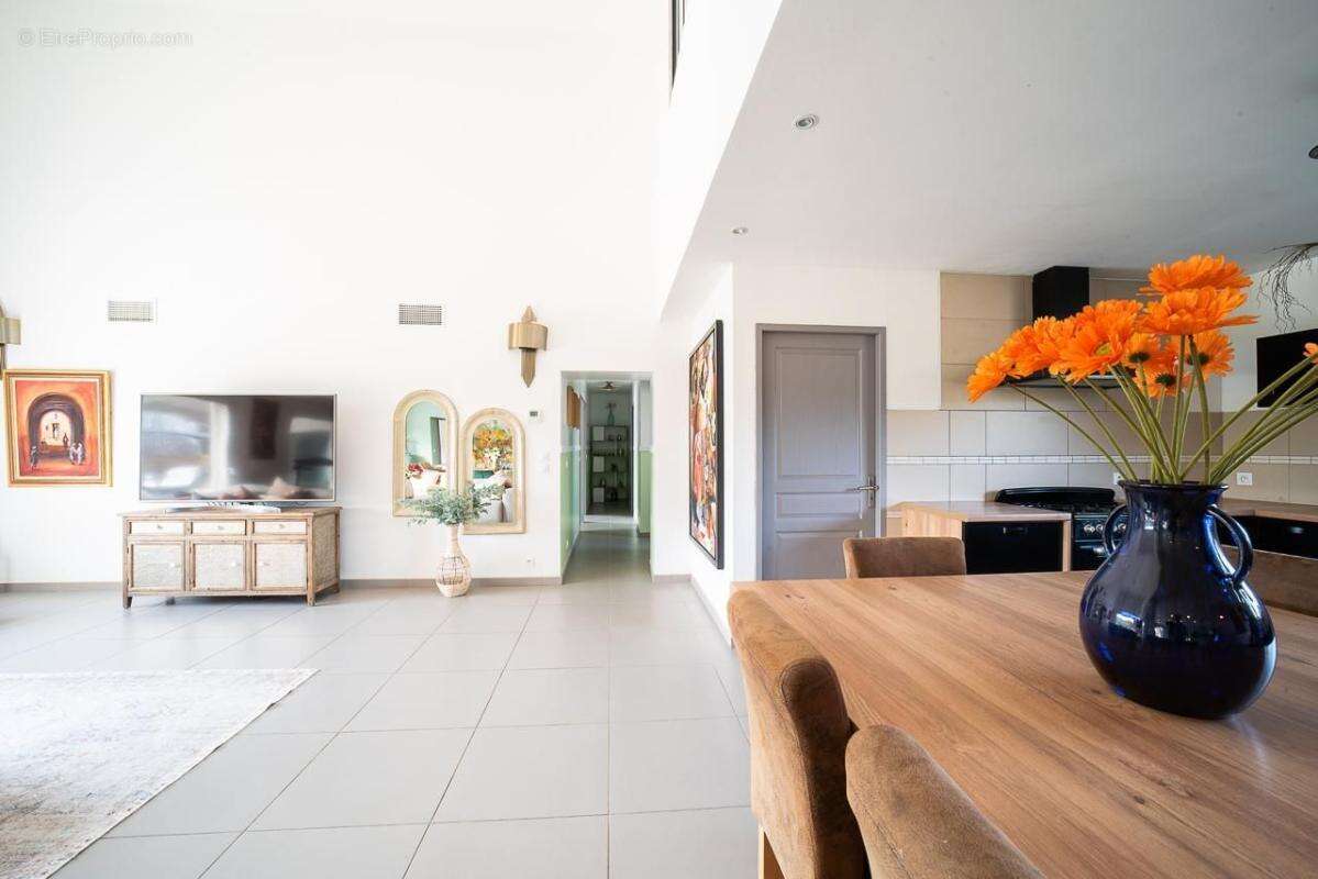 URGENT! Villa 9/10 pièces de 250m² sur terrain de 1250m² avec piscine à vendre / Céret 66400-66490 Vivès _ Saint-Jean-Pla-de-Cor - photo 9