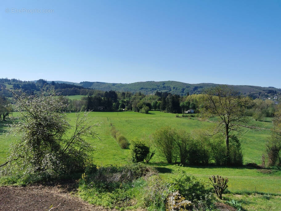 Maison à LA SALVETAT-SUR-AGOUT
