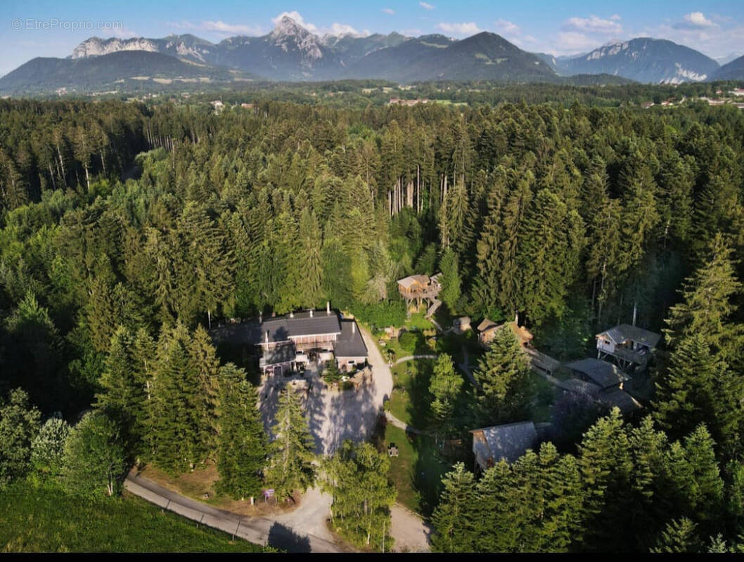 Commerce à LARRINGES