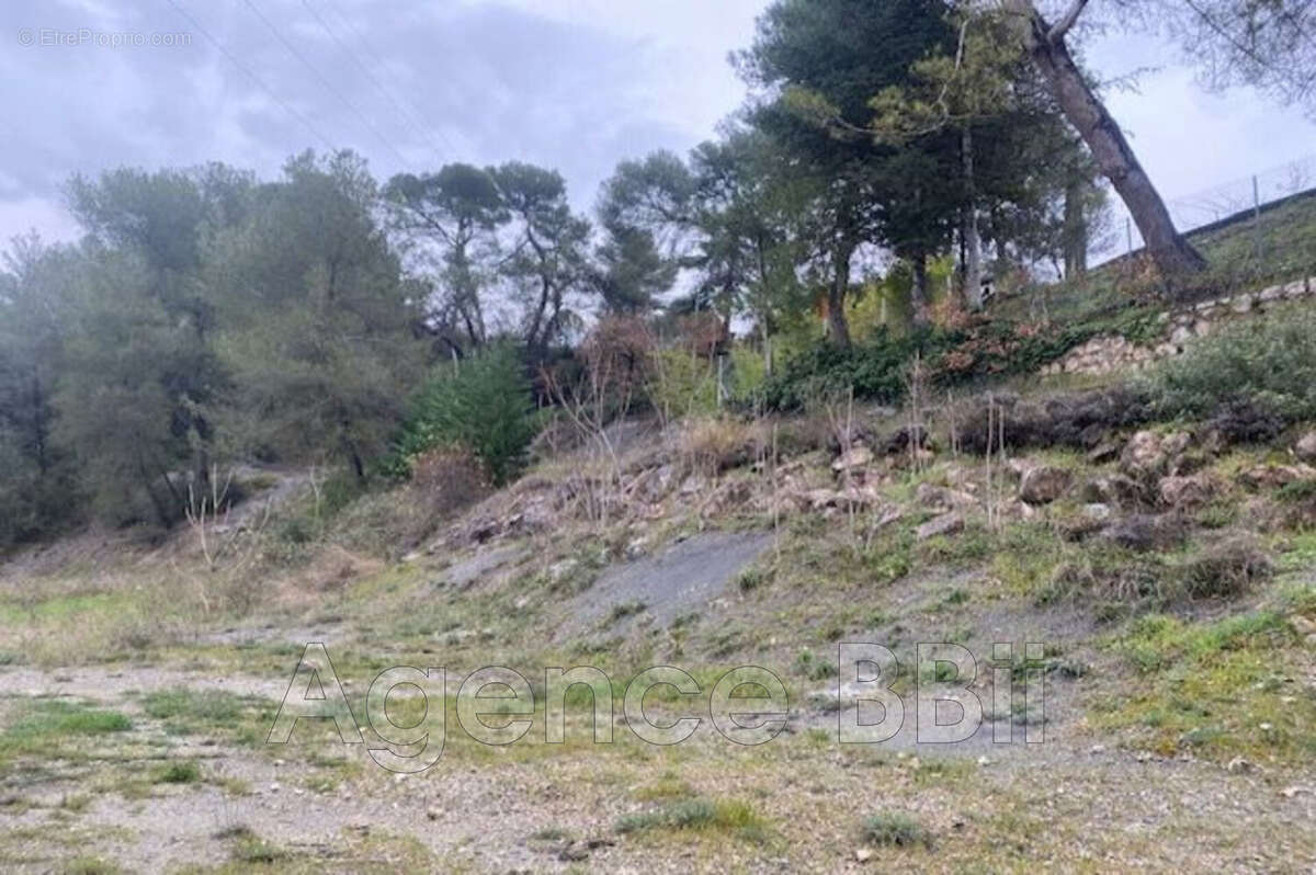 Terrain à CONTES