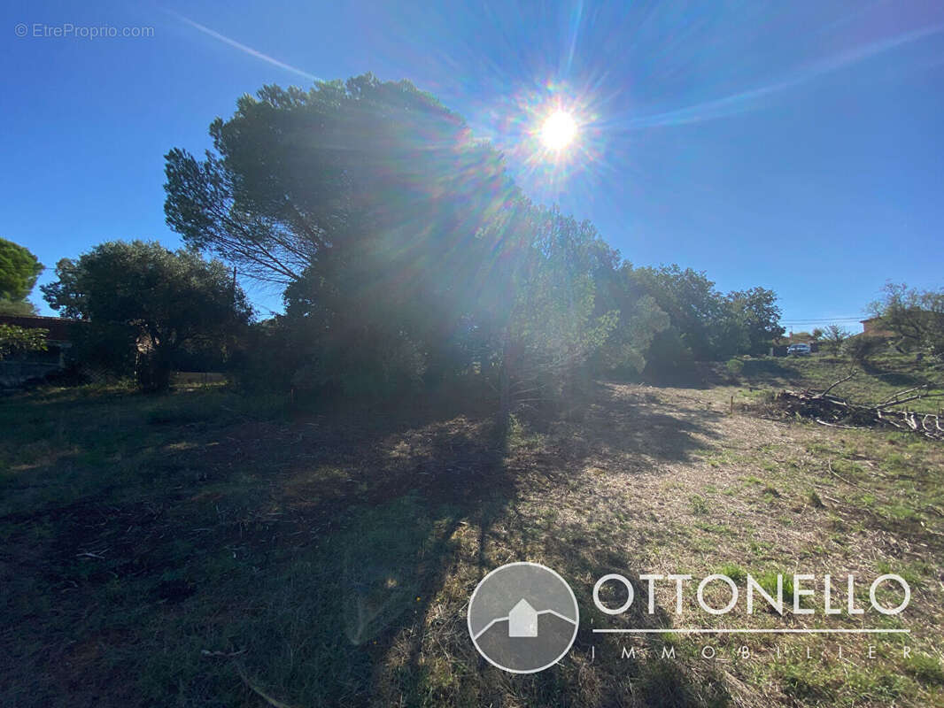 Terrain à ROQUEBRUNE-SUR-ARGENS