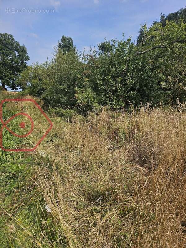 Ensemble immobilier et foncier de plus de 8 000 m²  Maison à réhabiliter & Terrain constructible et terrain agricole a 5 mns de - photo 2