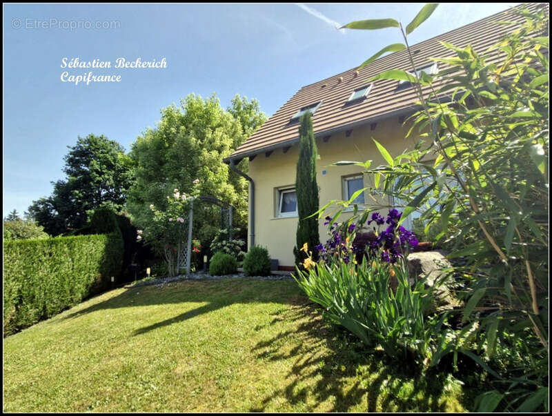 Maison à SARREGUEMINES