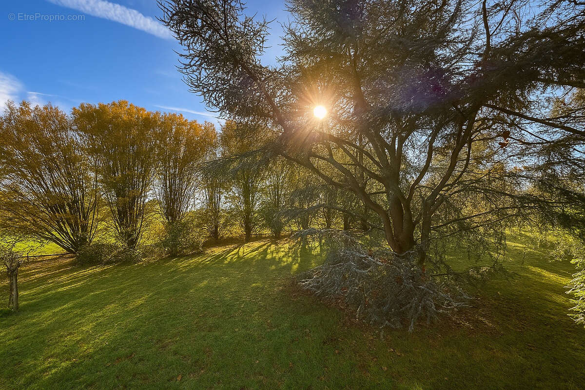 Maison à ARTANNES-SUR-INDRE