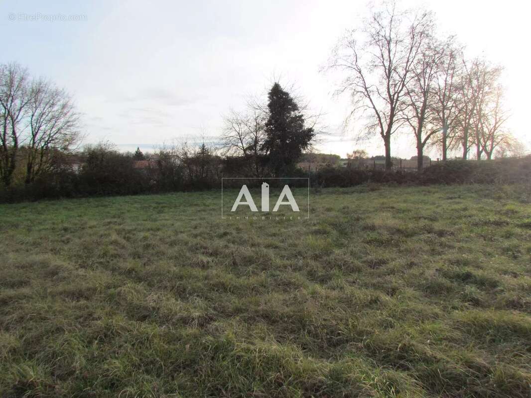 Terrain à BERNAC