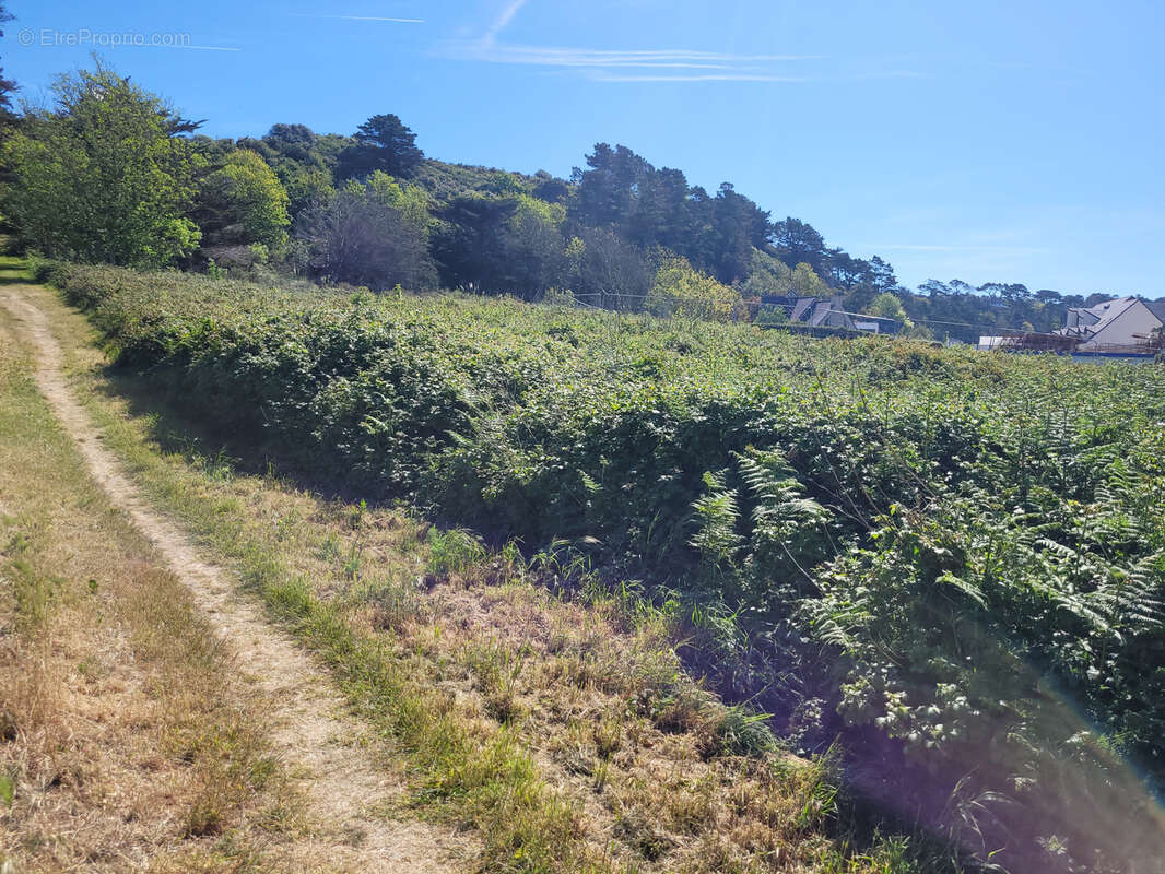 Terrain à TREBEURDEN