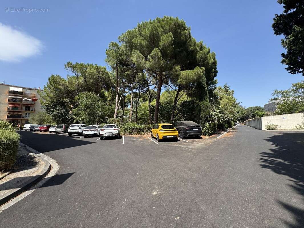 Sete t5 a vendre au milieu d'un parc - photo 2