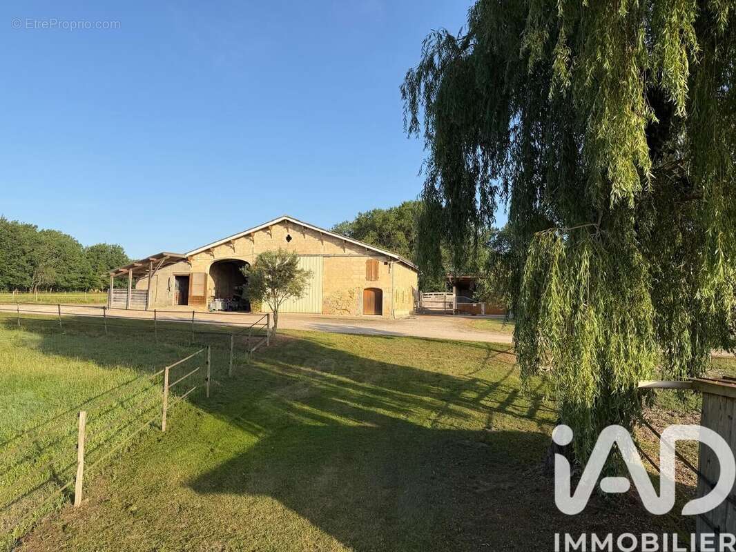 Maison 371 m² à Marcenais  - photo 2