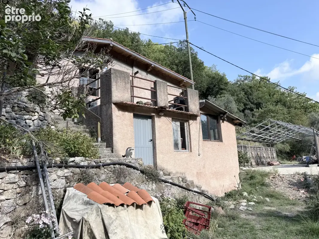 Vaste propriété de plus d’un hectare, entre oliviers centenaires et arbres fruitiers - photo 23