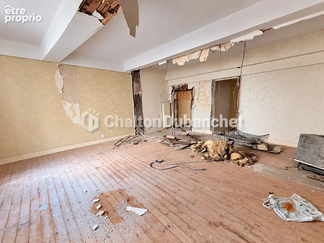 Plateau de 60 m² en hyper centre de ROANNE - 60 m² et balcon - photo 3
