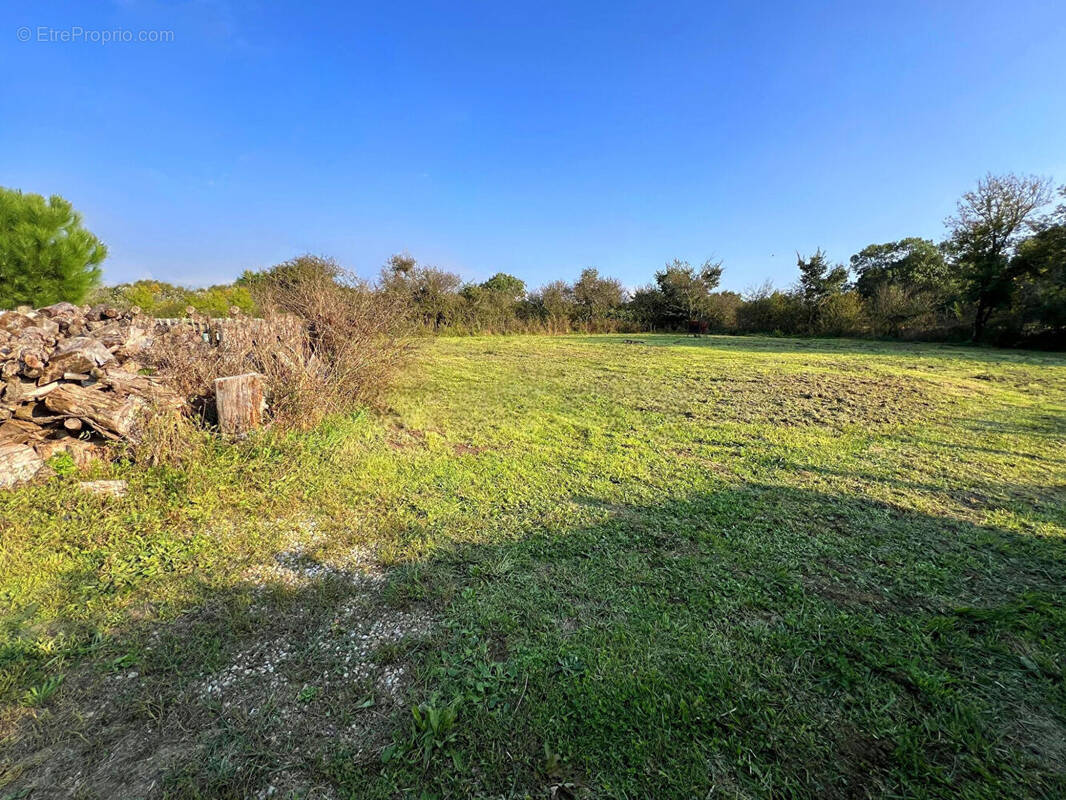 Terrain à LA PLAINE-SUR-MER