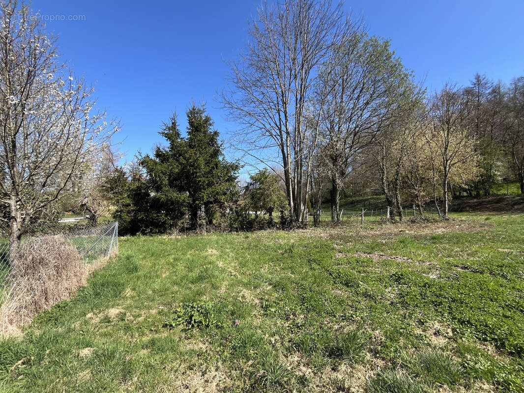 Terrain à HIRTZBACH