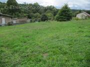 Photo 1 - Terrain à THIERS