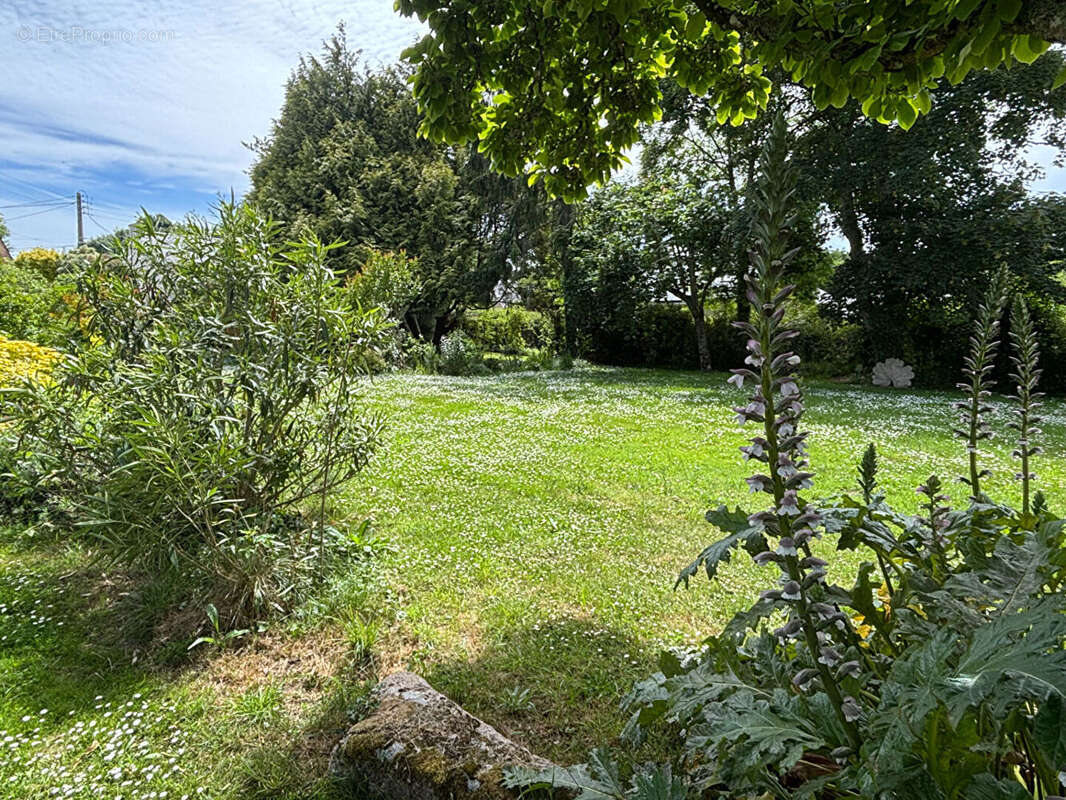 Maison à MOELAN-SUR-MER