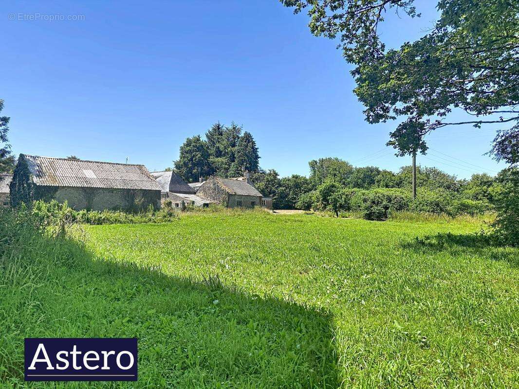 Ensemble immobilier- trois maisons-langonnet-calme - photo 4