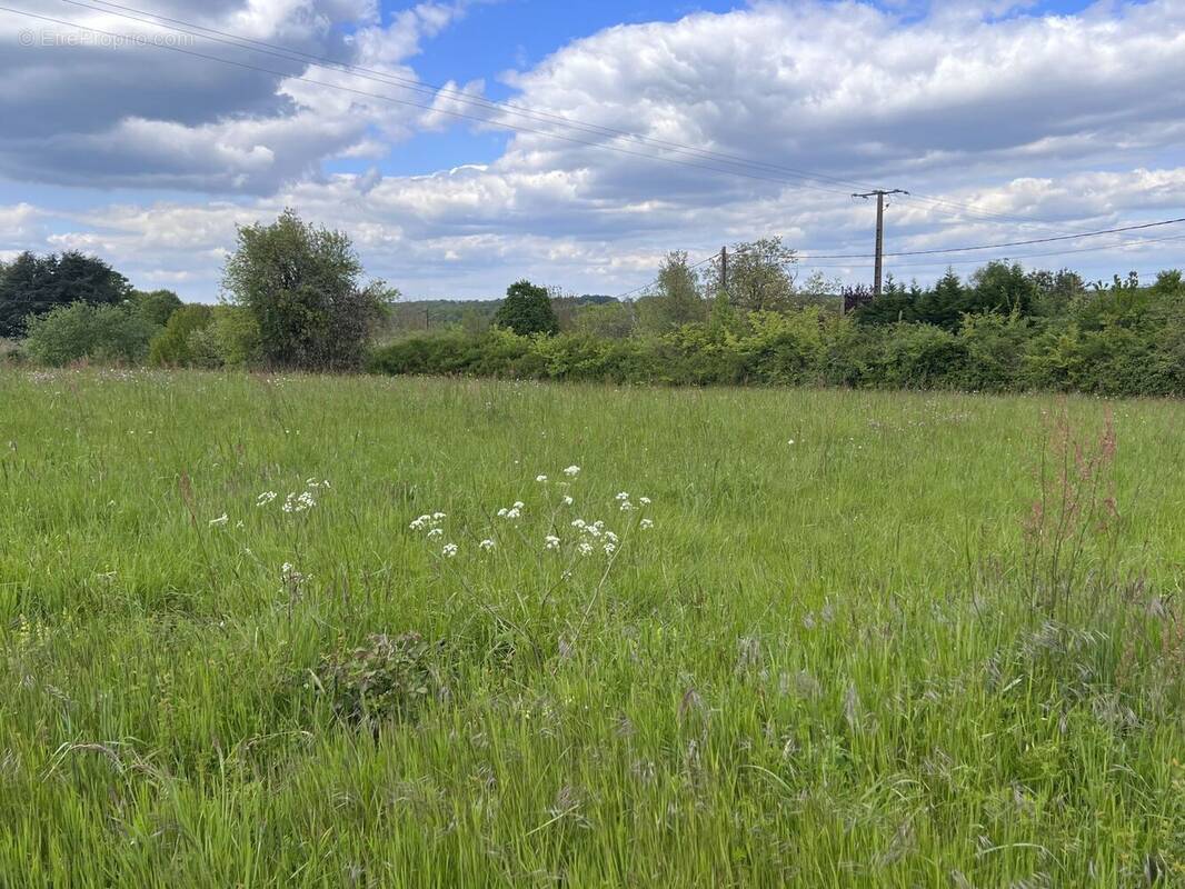 Terrain à SAINT-GERMAIN-DE-MONTBRON