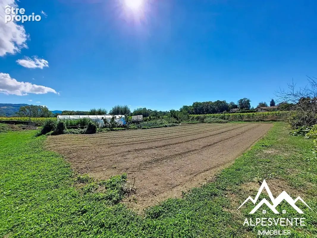 vente-terrain-lot1-allinges-alpesvente