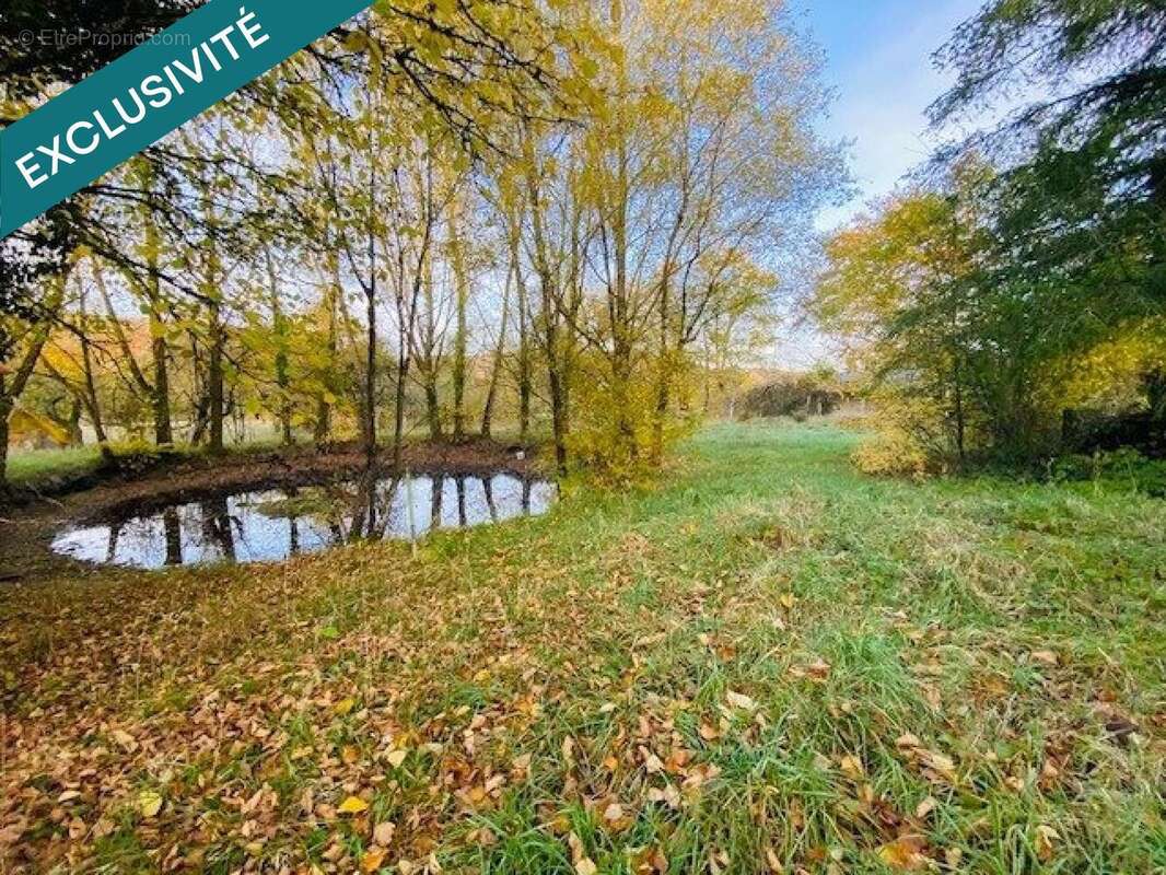 Photo 4 - Maison à FUTEAU