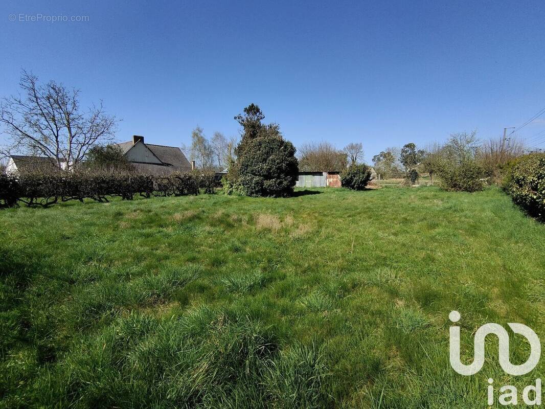 Photo 1 - Terrain à BETTON