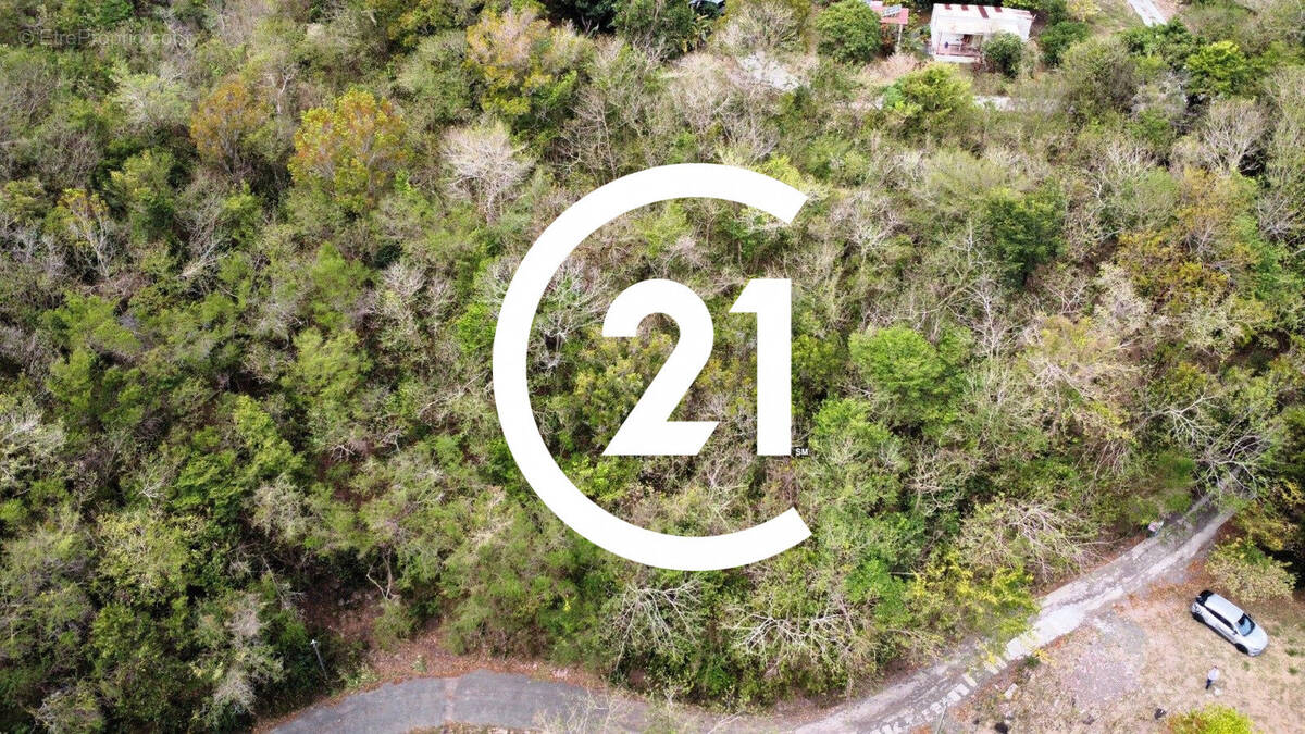 Terrain à LES ANSES-D'ARLET