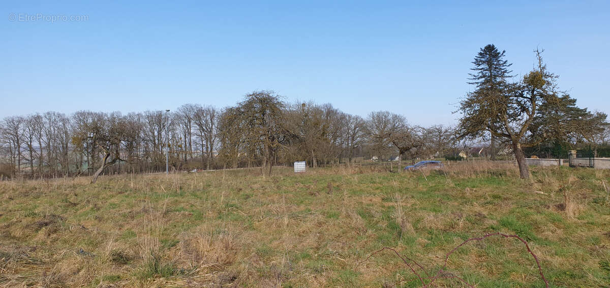Terrain à FERE-EN-TARDENOIS