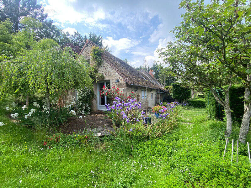 Maison Meillers 6 pièces 224 m² - photo 3